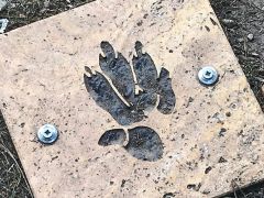 Saurierpfad Trixi Trias In Jena 190619 003